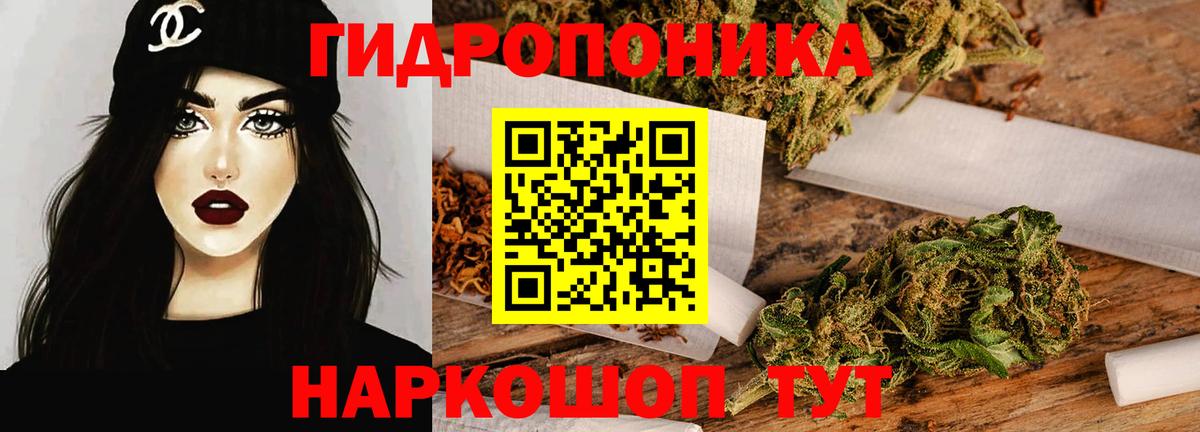 Канабис сатива Ивантеевка